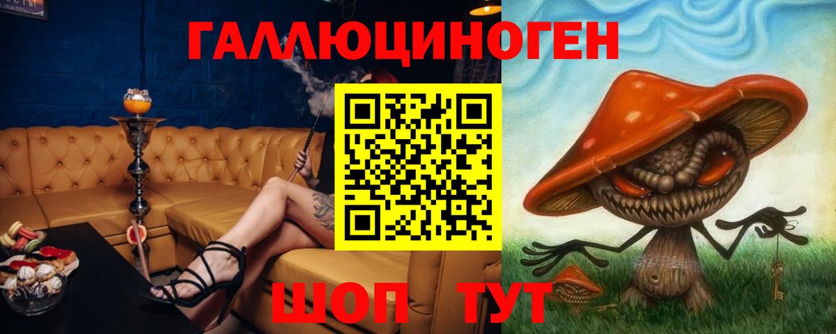 Галлюциногенные грибы Psilocybe Кирово-Чепецк