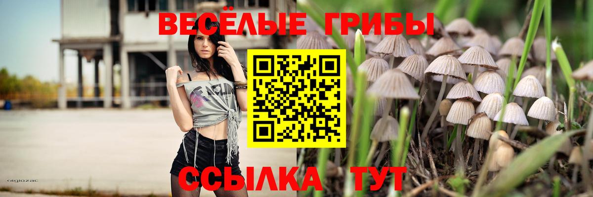 Псилоцибиновые грибы Magic Shrooms  Вход с VPN  Кирово-Чепецк  Галлюциногенные грибы мицелий 